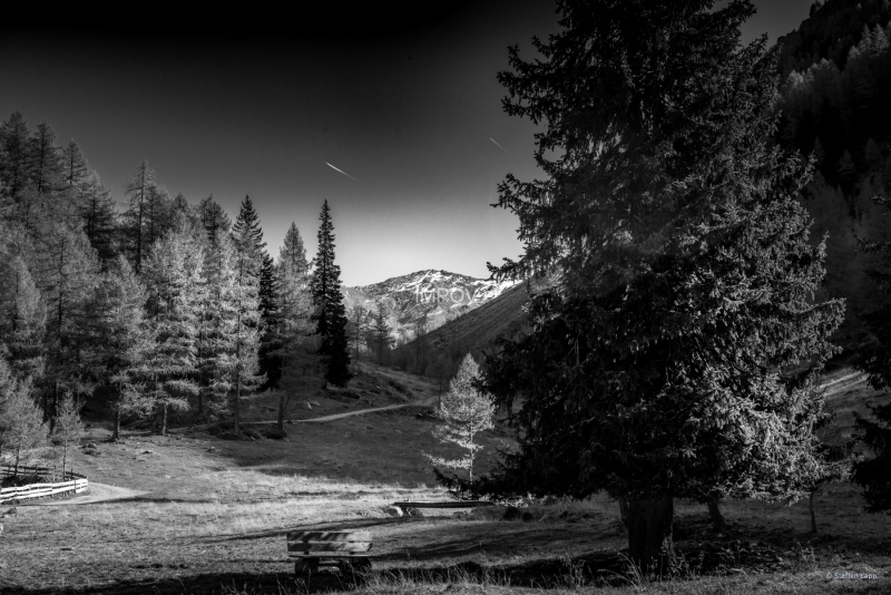 Auf der Oberstalleralm 1 b/w
