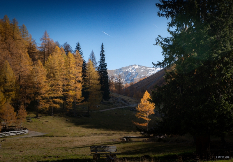 Auf der Oberstalleralm 1