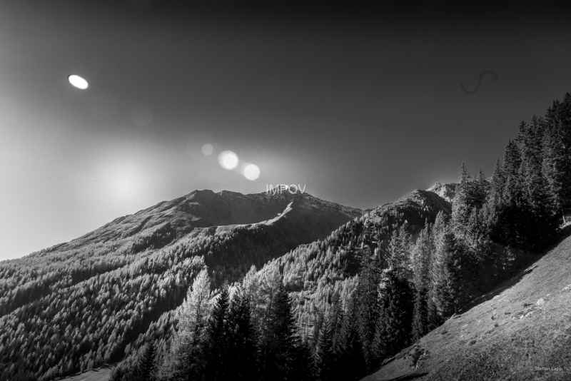 Auf der Oberstalleralm 3