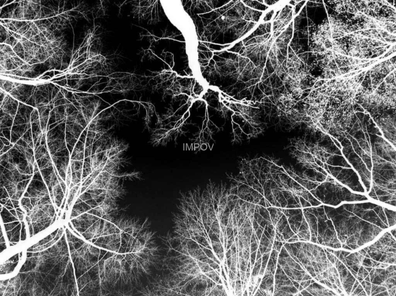 Blick in den Himmel in Winkelmühle