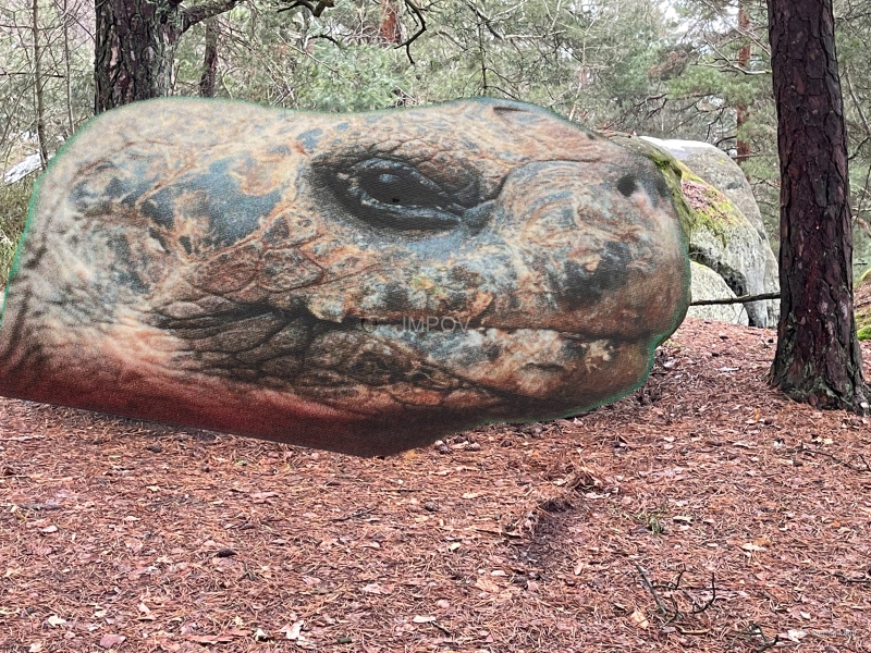 IMG_5826-Bearbeitet-2