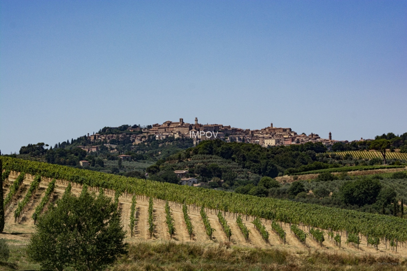 Montepulciano, Toskana