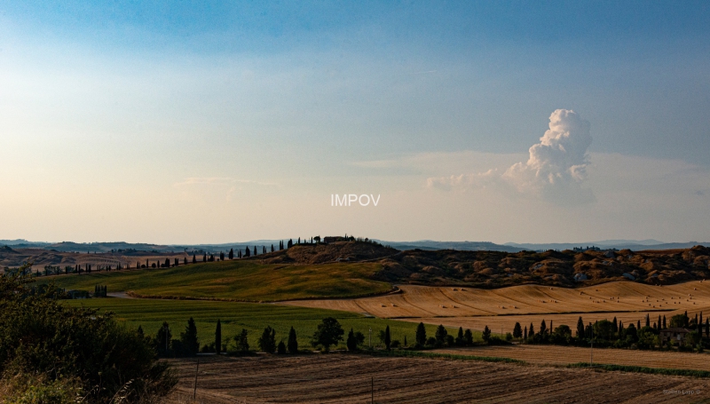 Landschaft um Asciano, Toskana
